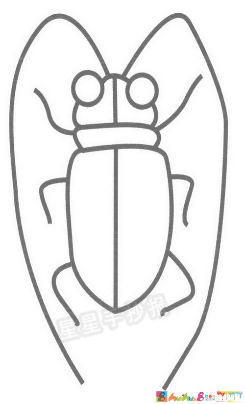 天牛简笔画图片天牛简笔画图片教程天牛简笔画图片示例天牛的资料