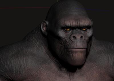 猩猩 猿猴猴子 金刚 大猩猩贴图 适合影视模型 猿人 古猿 原始人