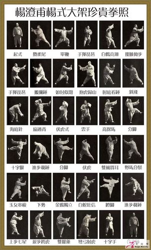 李亦畲 《十三势架程序》55式,[见《太极拳谱》]