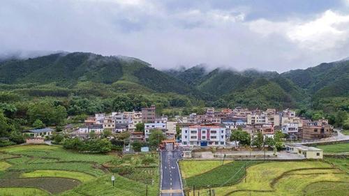 高岗镇宝山村地处佛冈县北部,与英德市鱼湾镇毗邻,是佛冈县革命历史