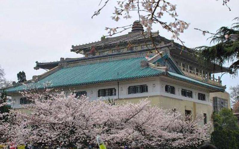 武汉大学数据科学与大数据技术专业介绍武汉大学高考专业库