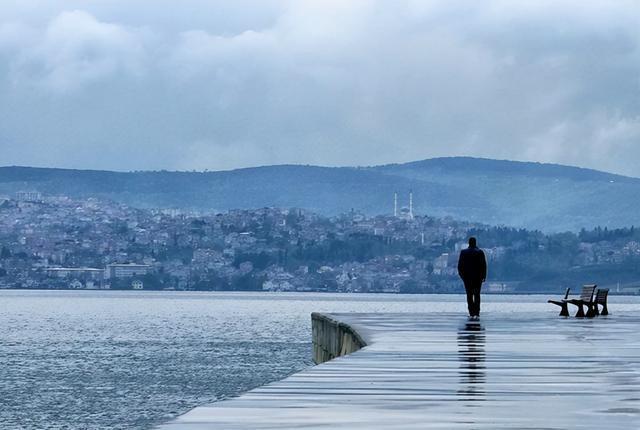 拒绝随波逐流,宁可失意和孤独,宁可被世俗社会所误解,也不愿丢失自己