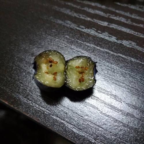 蓝莓里有很多橙色的小颗粒,请问是蓝莓籽还是虫呢?是不是坏了?