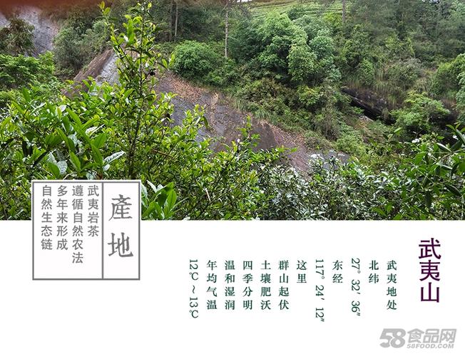 水帘洞肉桂01_07