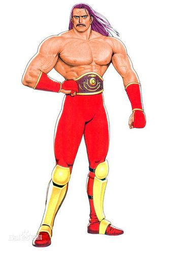 沃尔夫冈·克劳萨·冯·施特罗海姆图片_百度百科