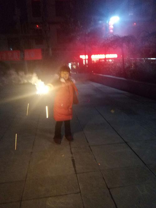 逸夫小学二(1)星晨中队樊欣怡春节体验活动