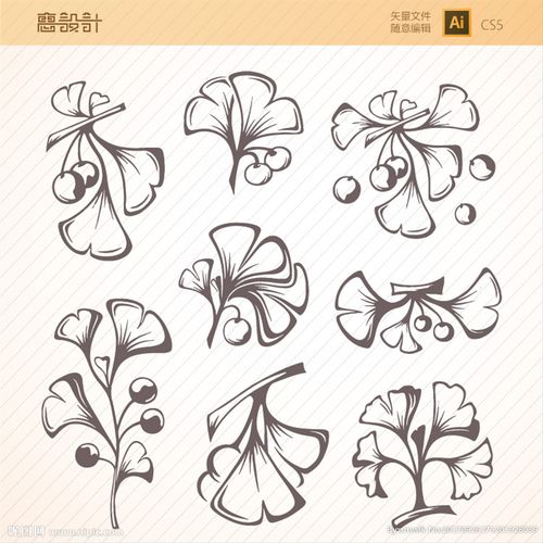 银杏叶矢量图图片