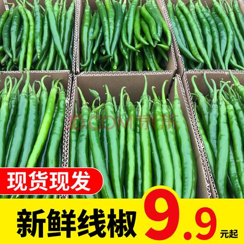 二荆条辣椒新鲜青椒5斤农家时令现摘蔬菜尖椒杭椒中特辣线椒 2250g