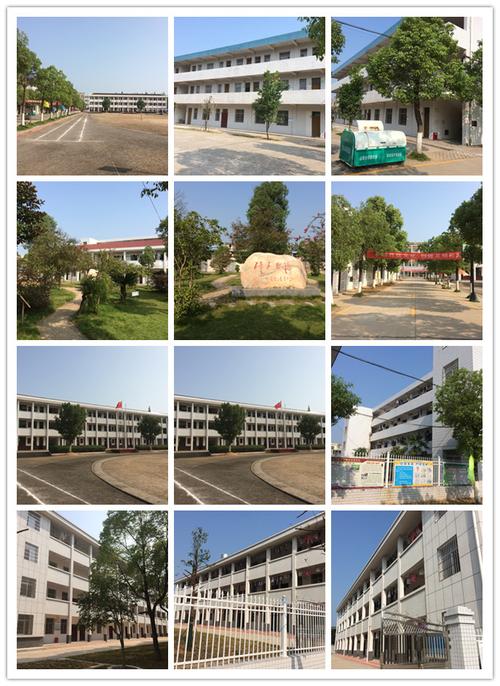 2019-2020年度董家垱中学寒假致家长的一封信