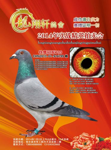 开创特比三关综合.7名.