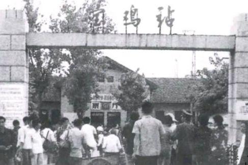 昔日老照片1980年陕西宝鸡城市景象展现这些场景你还记得吗