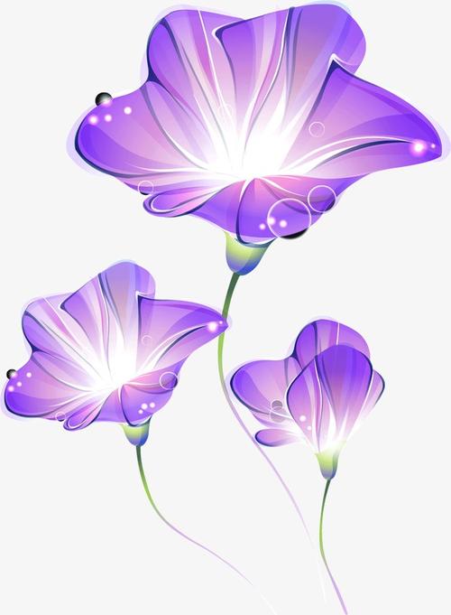 3d   紫色   牵牛花