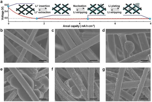 【鑫鼎磁铁·高工透视】石墨化碳纤维作为3d多功能集