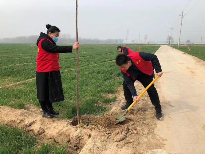 滑县枣村乡志愿者义务植树让生态更美好