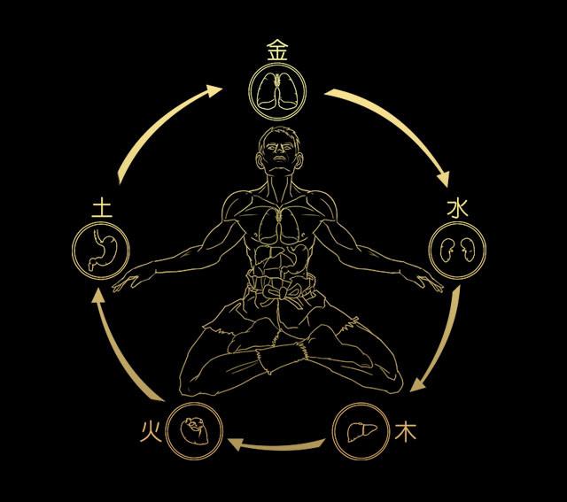 人的五脏与五行之气的关系是心属火,肝属木,肺属金,肾属水,脾胃属土.