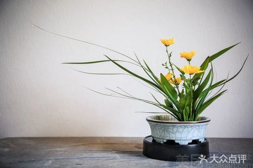 中式插花 花材与器形按照季节和老师要求适当调整.