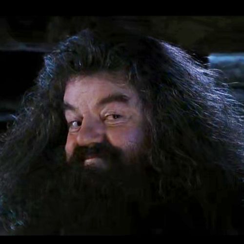 哈利波特系列hagrid海格5月再更吧