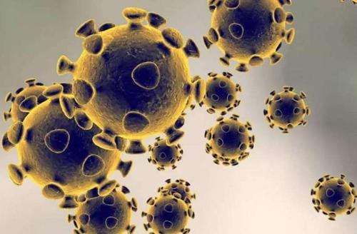 讨厌的疫情到底何时结束?