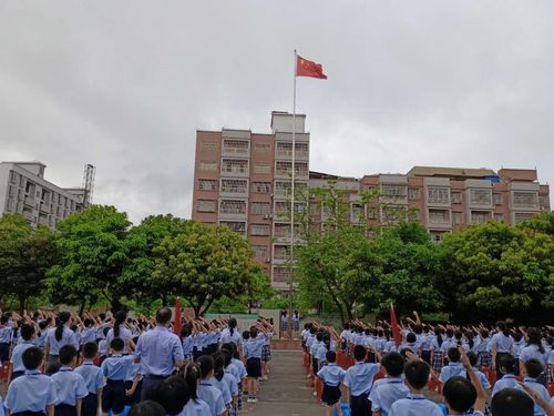 争做新时代好队员 我们是小小追梦人——郁南县西江实验学校2019年新