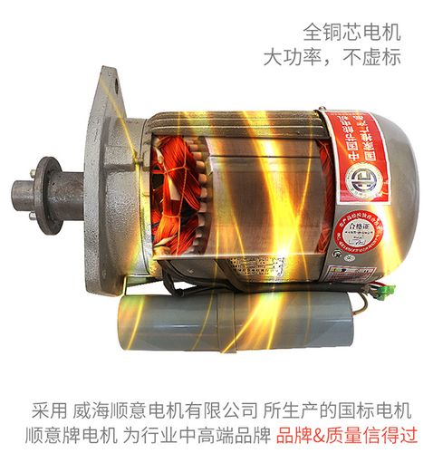 沧州铁狮大150大豆磨浆机155豆浆机商用浆渣分离机免