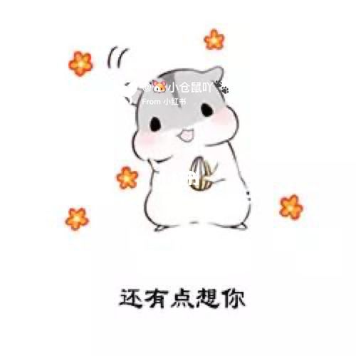 小仓鼠表情包(5)_表情包_仓鼠_素材_表情包