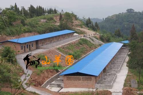 羊场选择和建筑羊舍