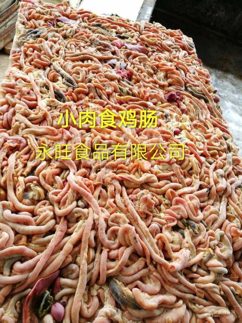 【鸡肠】公司大量批发销售冷冻优质鲜鸡肠 15公斤/件