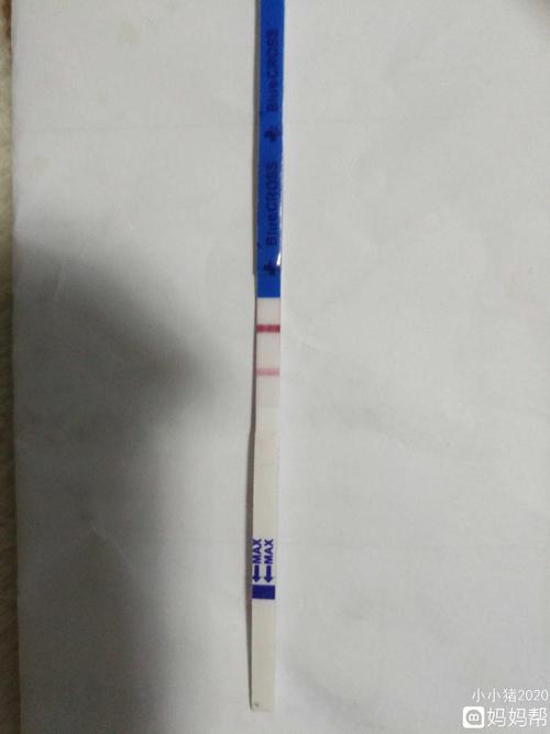 经期推迟4天,今天测到早早孕两条杠,请问各位亲是怀孕