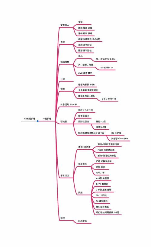 思维导图术后患者的一般护理让学习变得简单