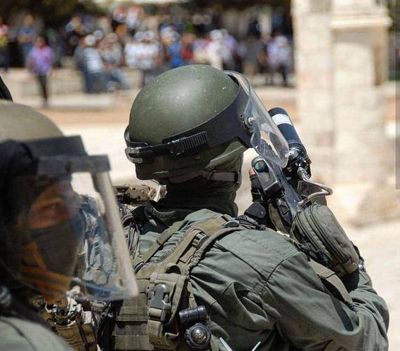 以色列国防军(idf)