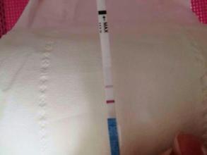 怎么知道自己怀孕 怀孕初期有哪些表现