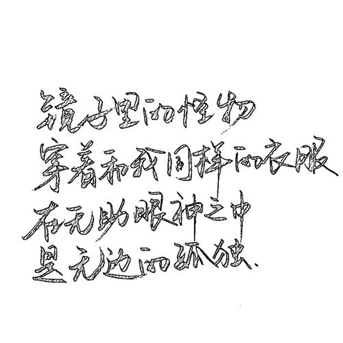 c.s.手写【 镜子里的怪物