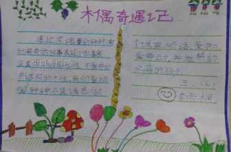 最香的木权的手抄报 手抄报简单又好看