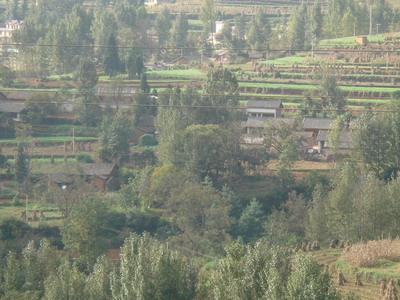  p>杉树村位于清镇市站街镇南部,地处美丽怡人的国家级风景名胜区红枫