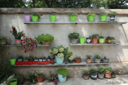 进行装饰再利用 打造成"蔬菜小院" △竹竿做成的花架子 废旧pvc管做成