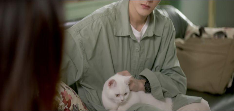 猎罪图鉴18个细节你注意到了哪一个