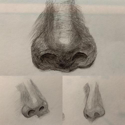素描-鼻子