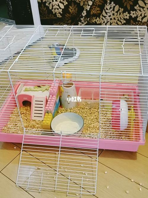 仓鼠60基笼子安排_仓鼠_仓鼠日常_宠物_宠物其他