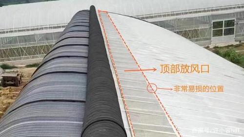大棚放风口塑料膜容易破损怎么处理?