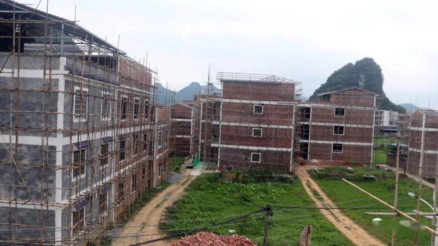 一乡一业 一村一品——钟山县回龙镇党史学习教育成为乡村振兴新引擎