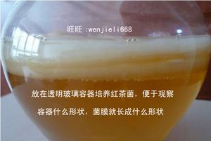  span class=h>胃宝 /span>红茶菌/天然保健饮品/消脂红茶/醋蛾子