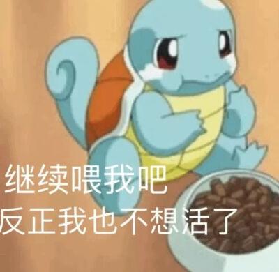 憨八龟表情包