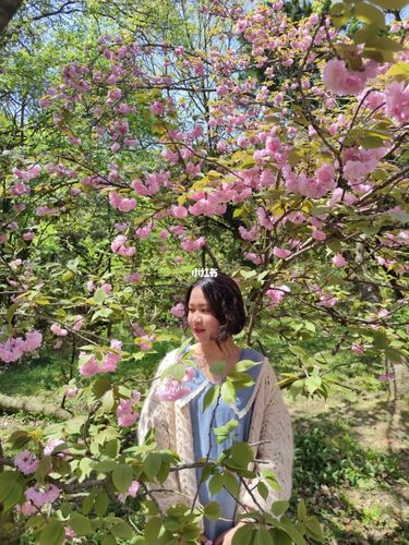 春日赏花_赏花_樱花_太湖鼋头渚风景区自由行热门攻略