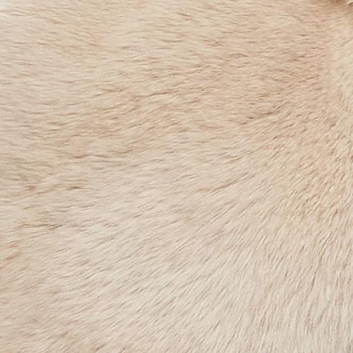 哥弟配饰冬季新款毛茸茸獭兔毛绒围巾女保暖围脖a800034 灰