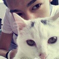 qq头像男生动物头像