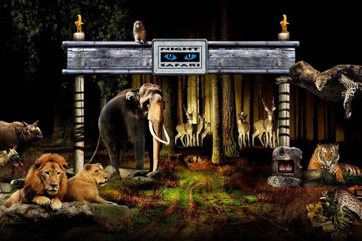 night safari zoo