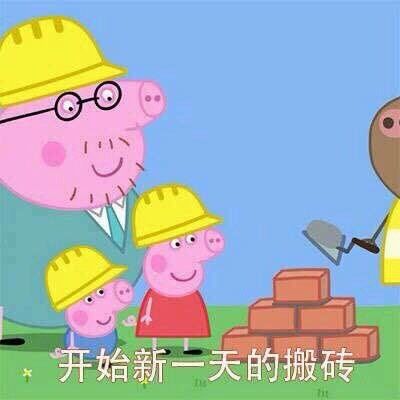 今日份热门表情包原图精选