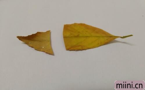 南迁的大雁树叶贴画步骤教程