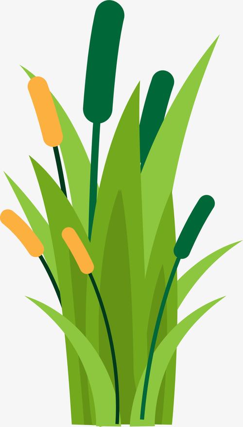 绿色卡通春季芦苇