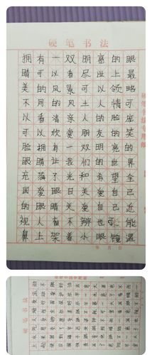 我的硬笔书法字